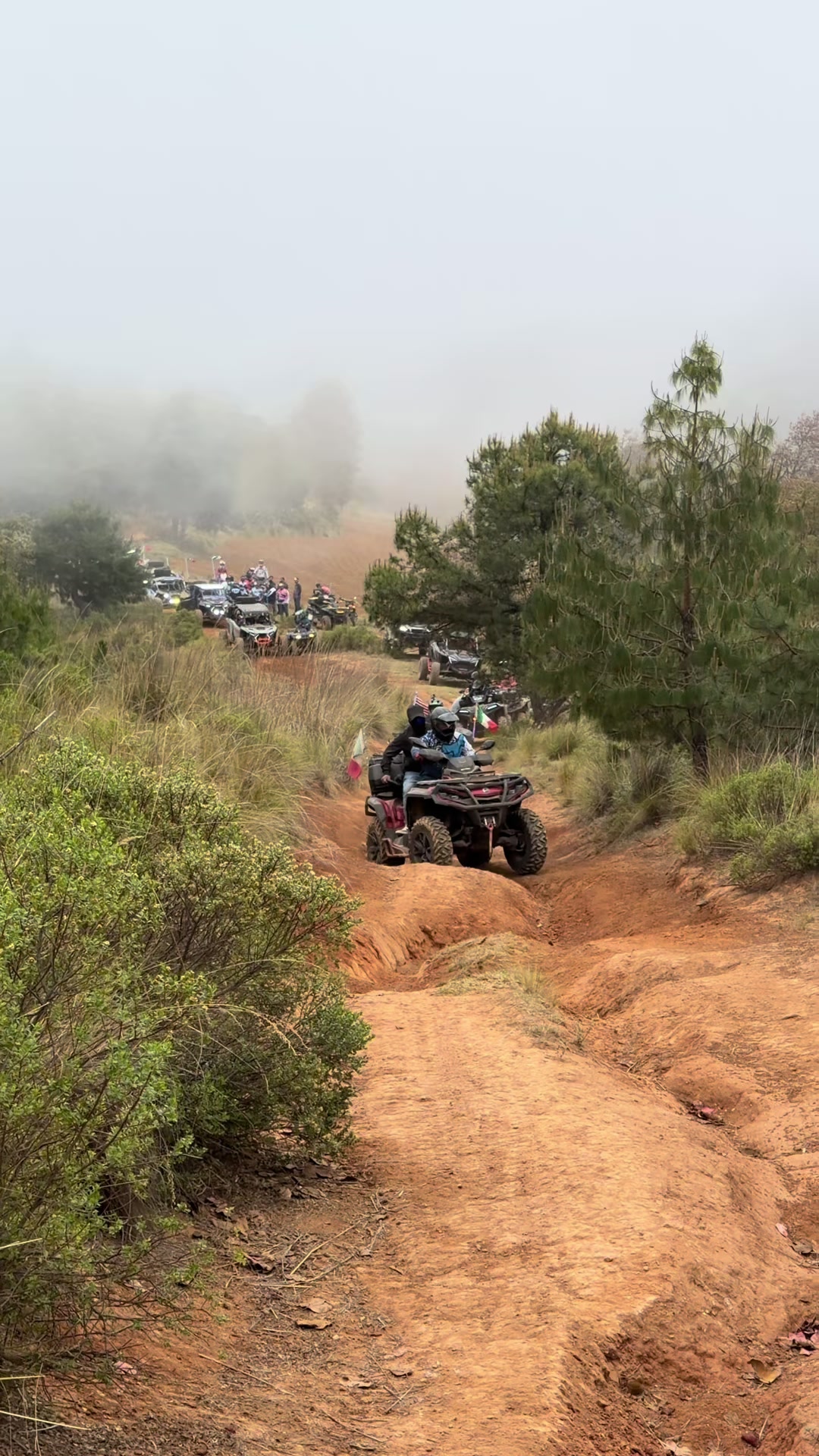 @Gonza Sober off Road