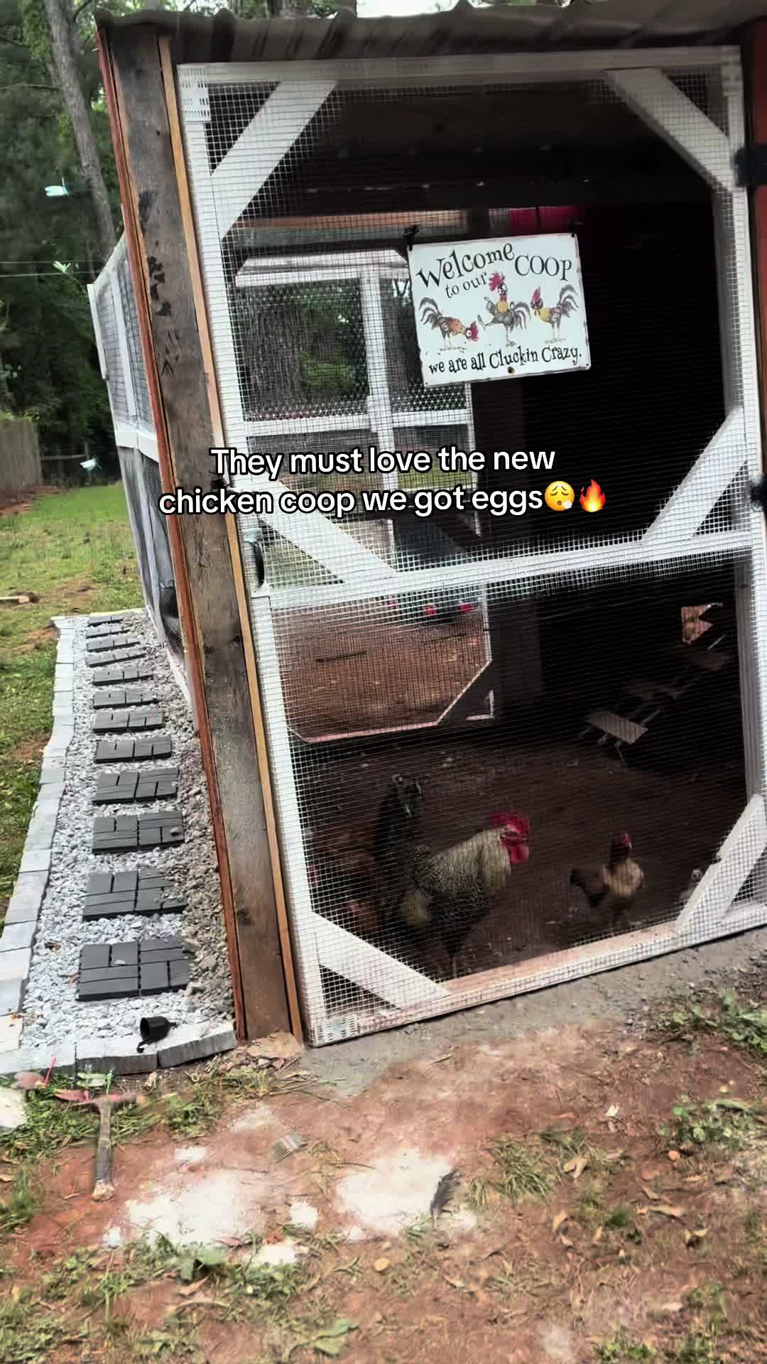 @E M O N