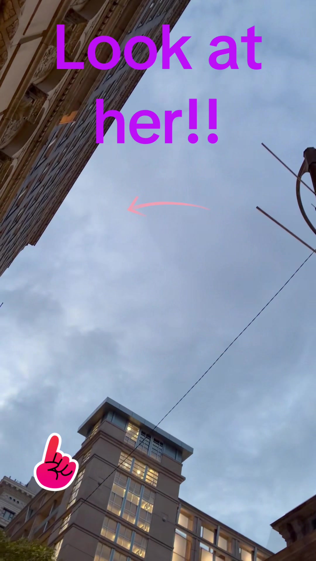 @The Obscured Architect