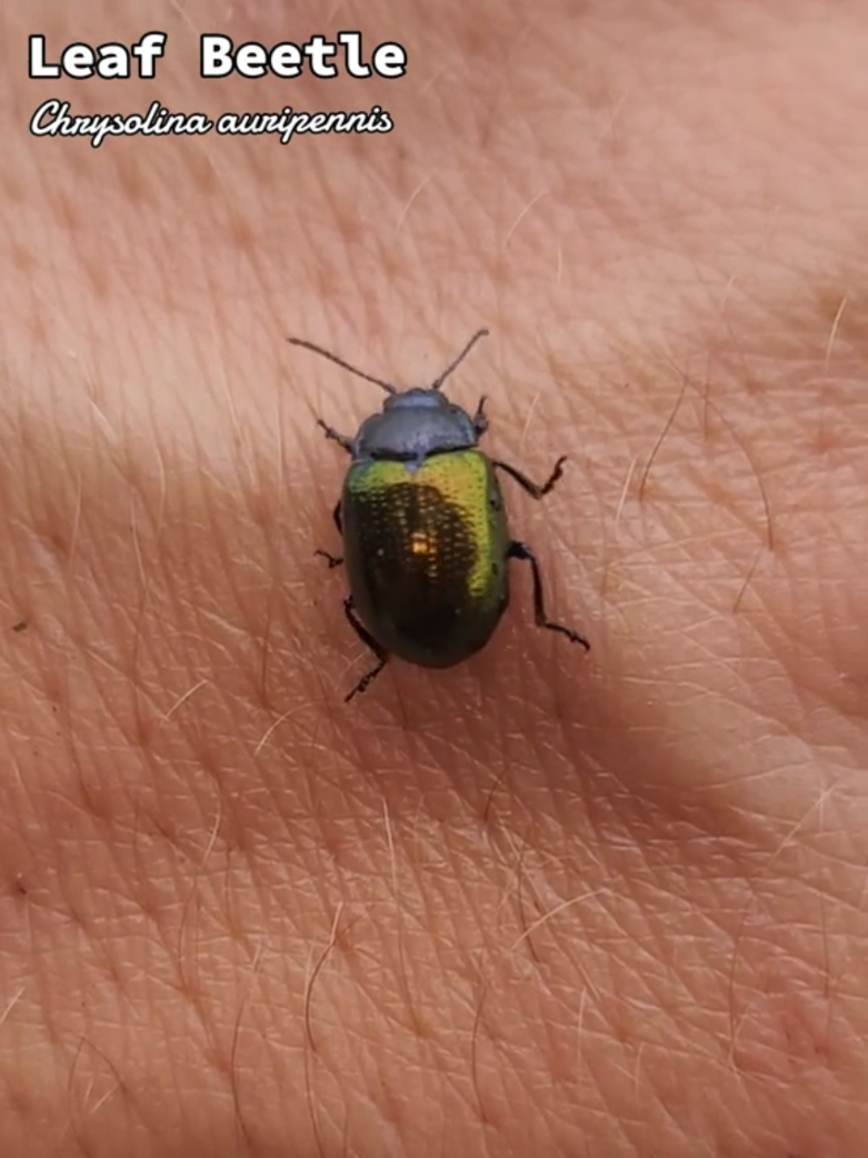 @ThatOKBiologist
