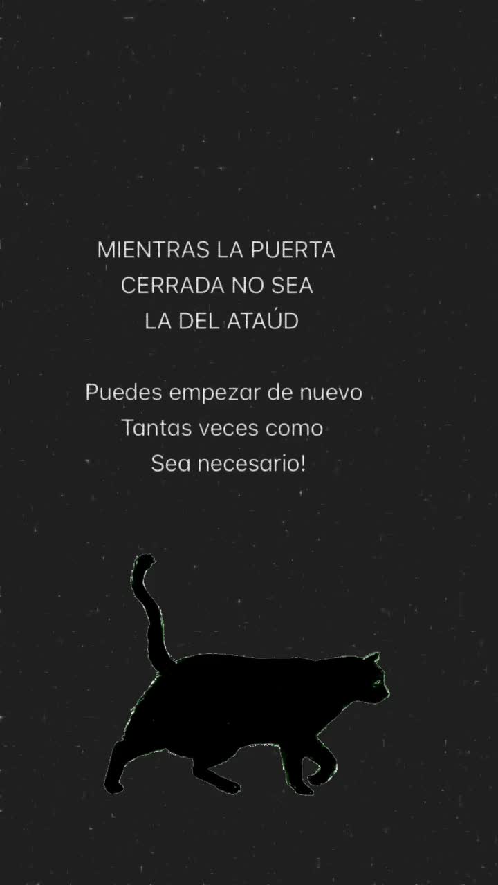 @GSELRIG 🌙🌻🐈⬛