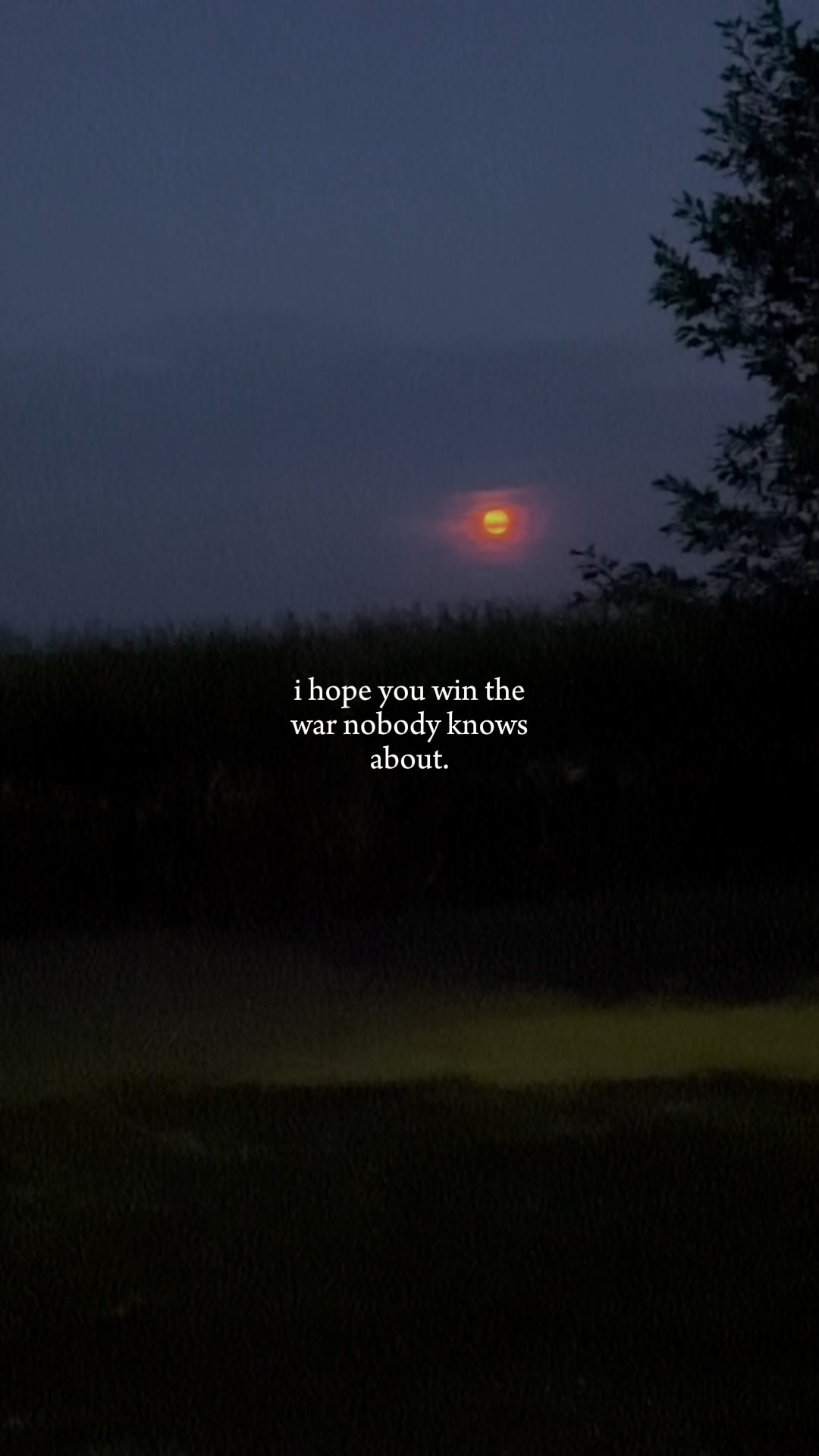 @Susie