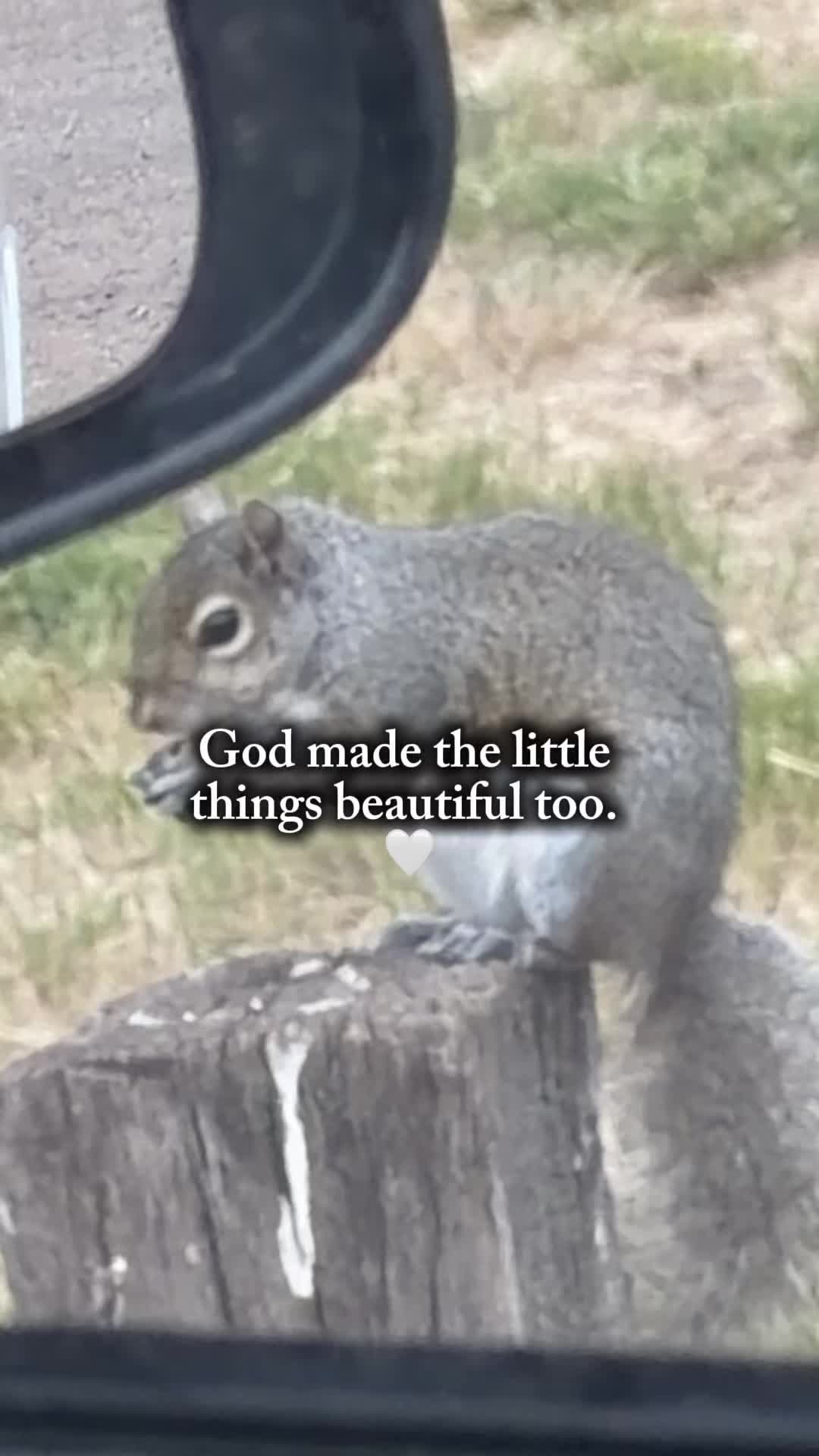 @🌻†HealthyHearted𝓂♡𝓂𝓂𝒶†🌻