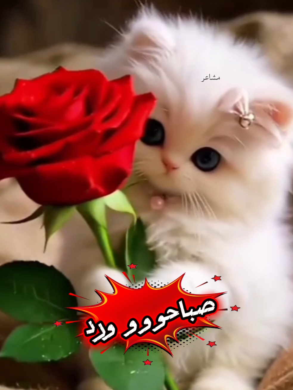 @مشاعر
