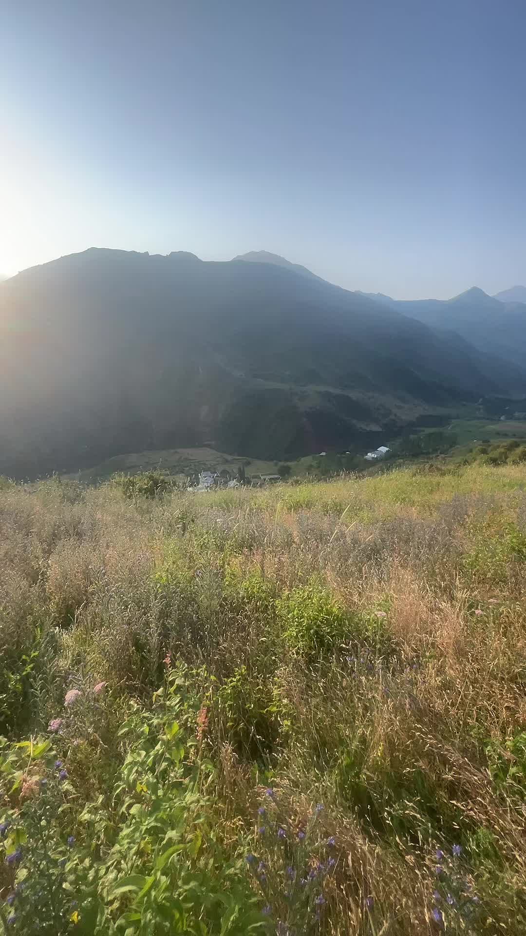 @Тоха