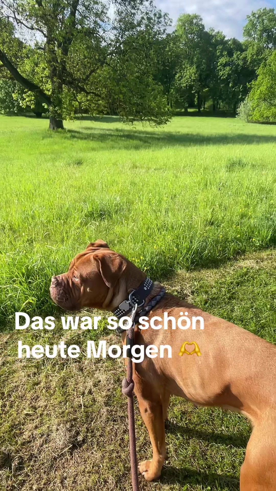 @Marleene🐶