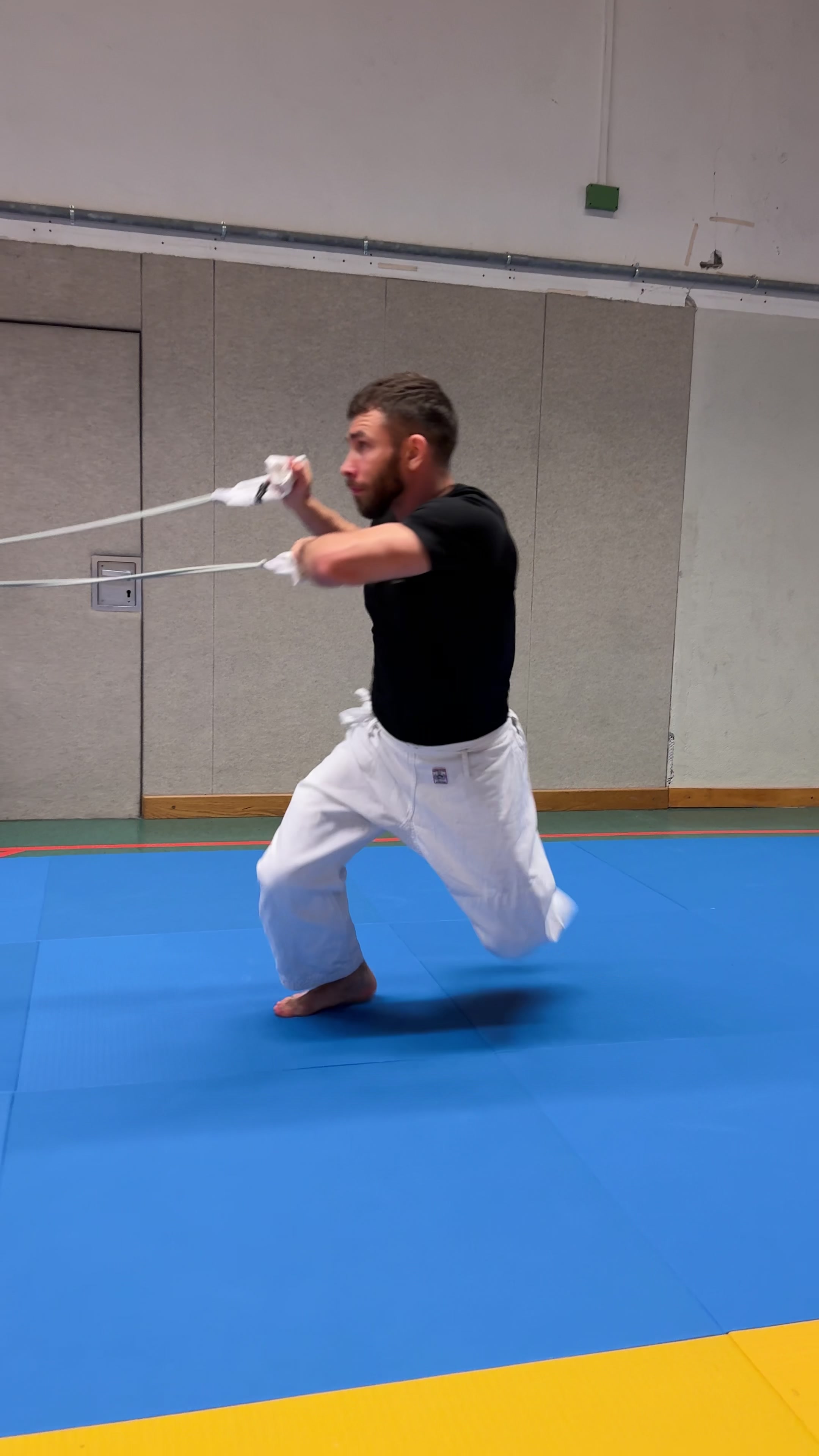@Cyber-Judoka