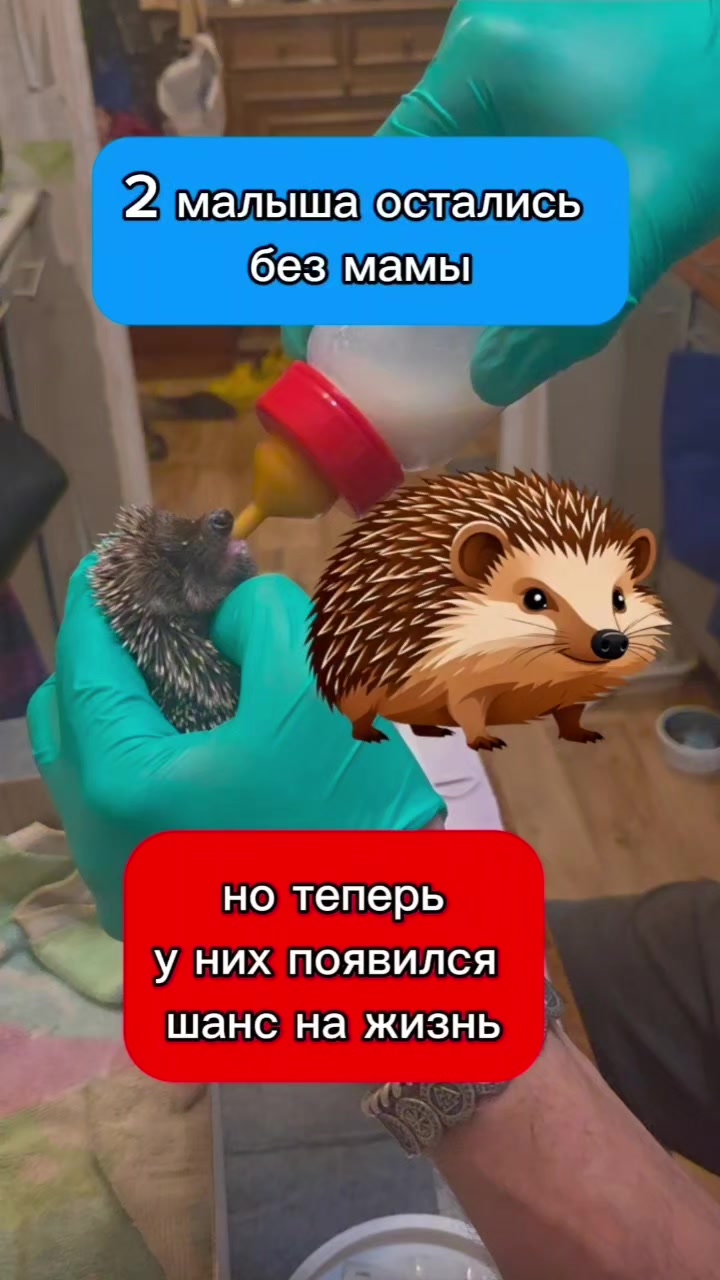 @slavrus_vet