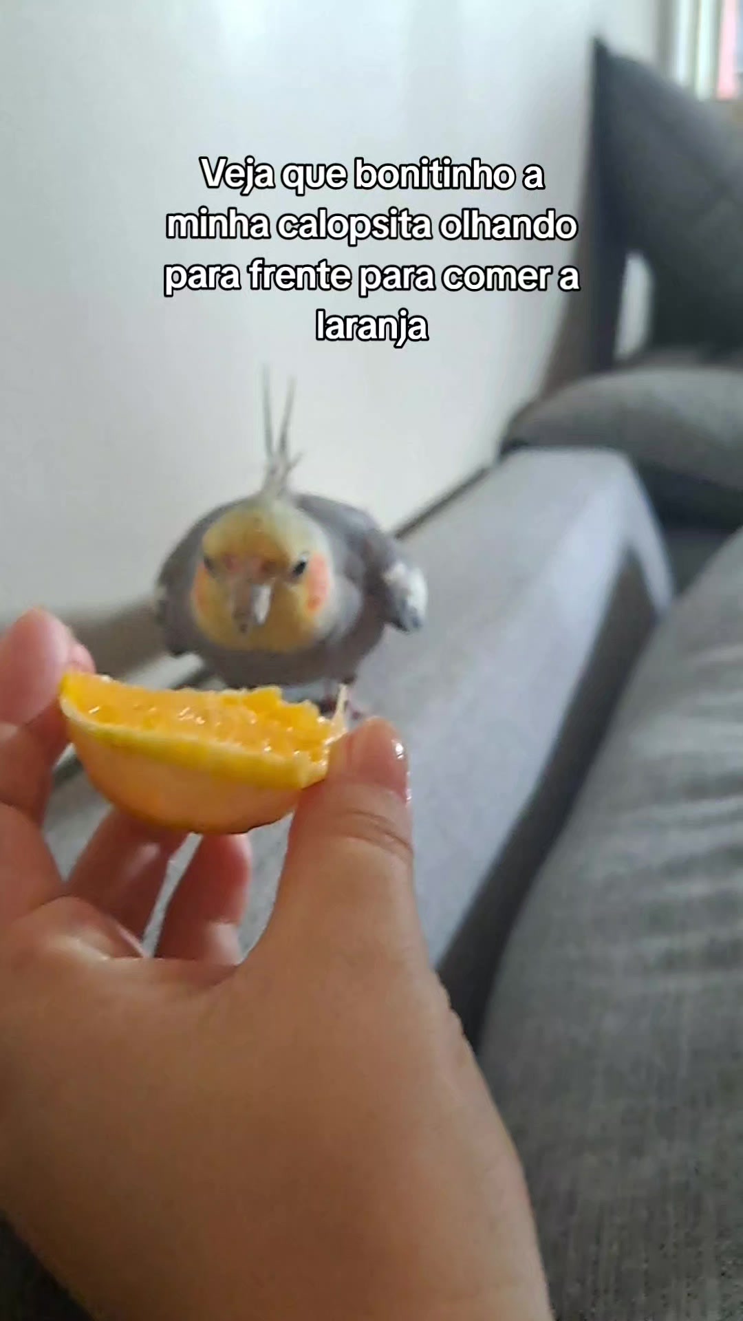 @Rafa