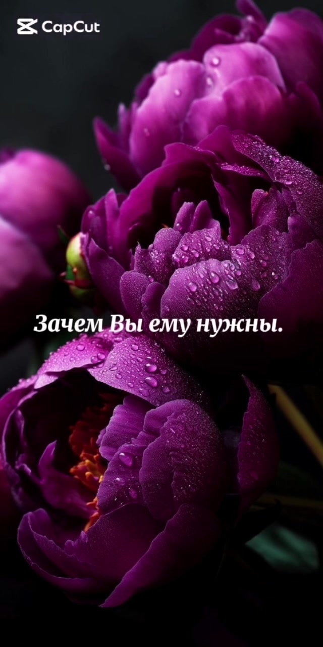 @Polli