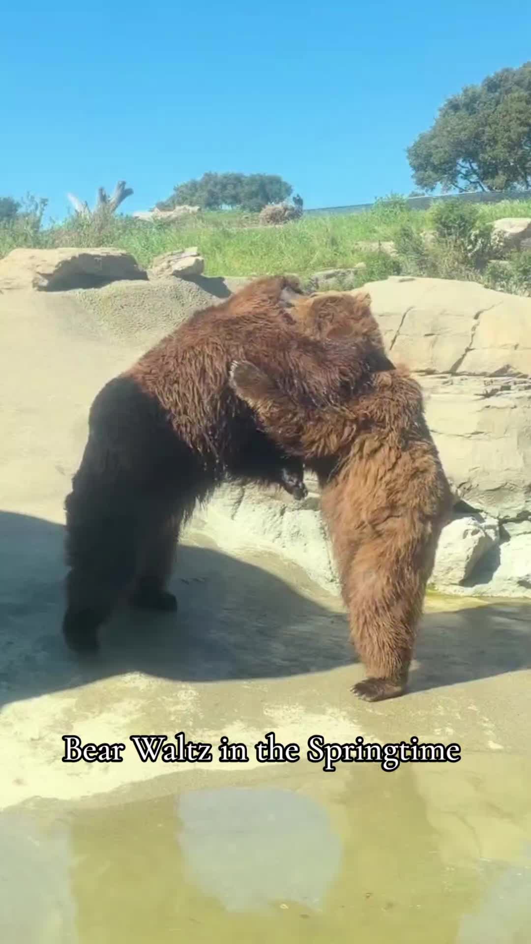 @Oakland Zoo