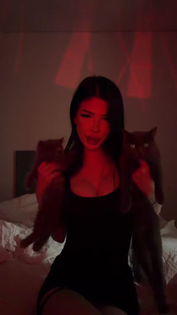 @evviks