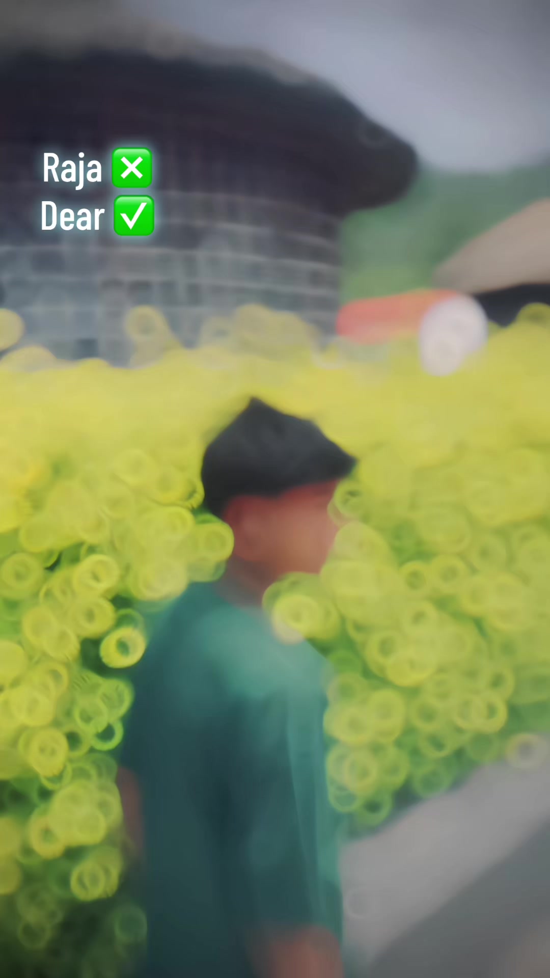 @🍃