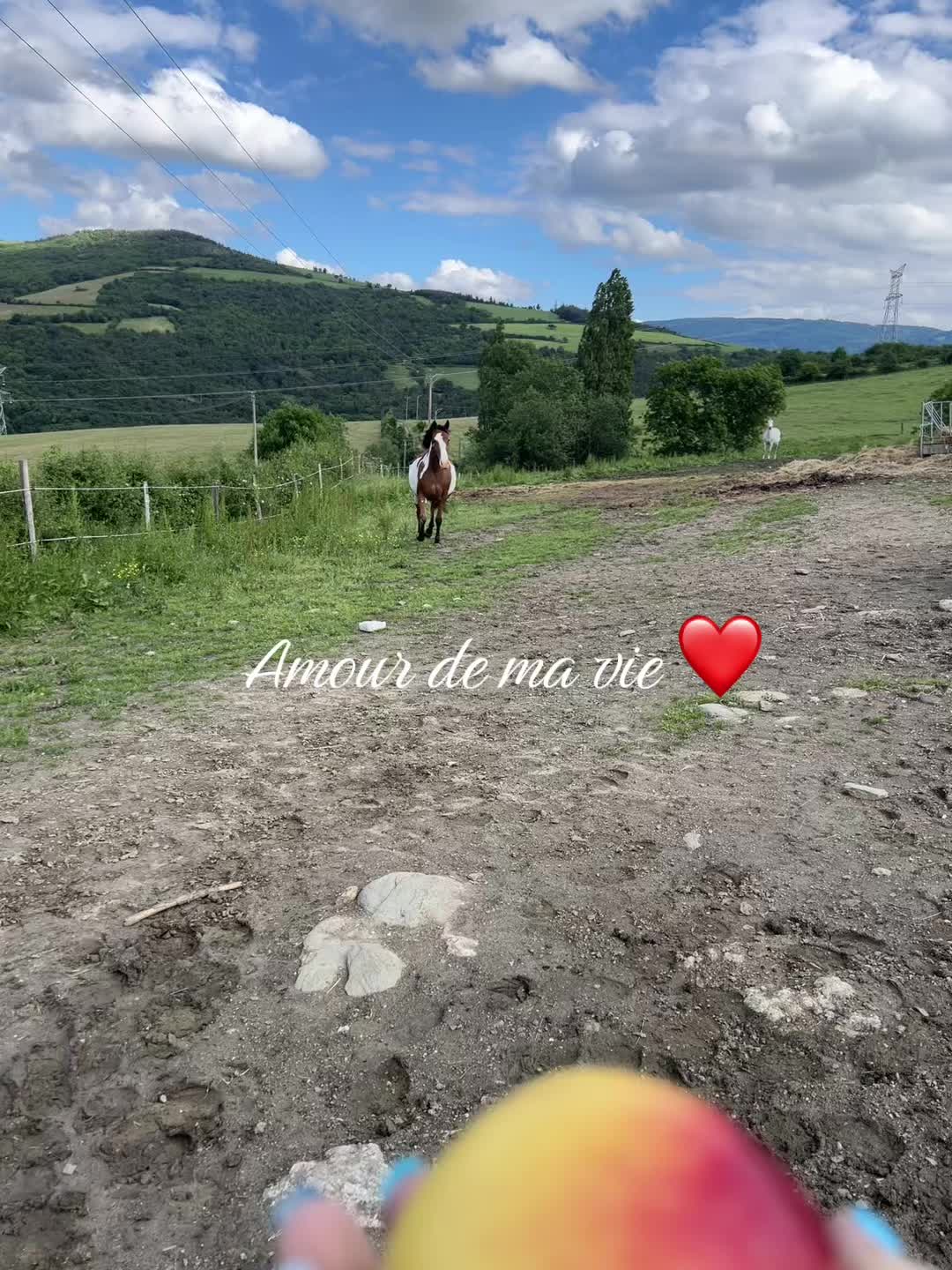 @daphne_brm
