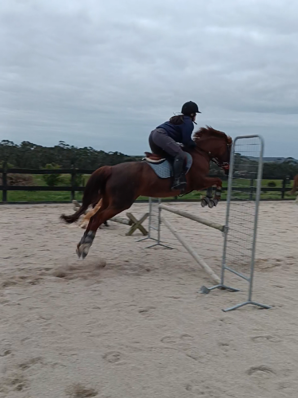 @Pip_equestrian9