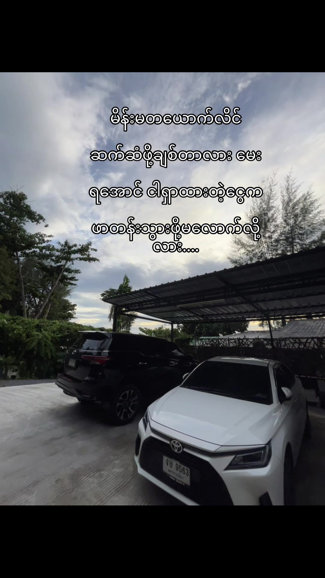 @ðªMCGREGORðª