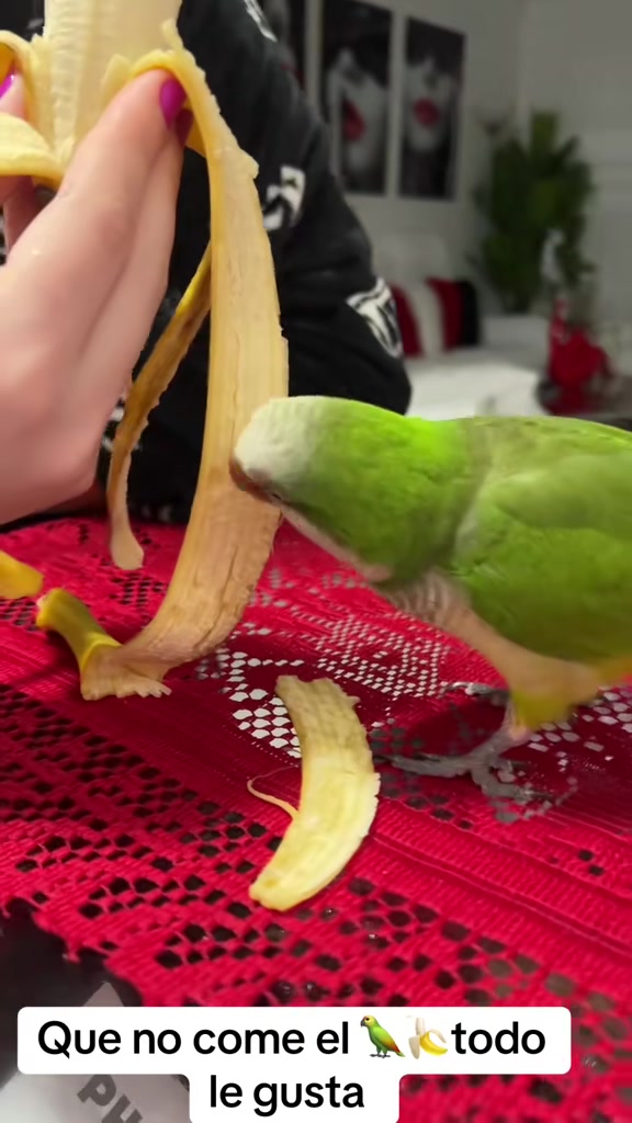 @Charlie🦜