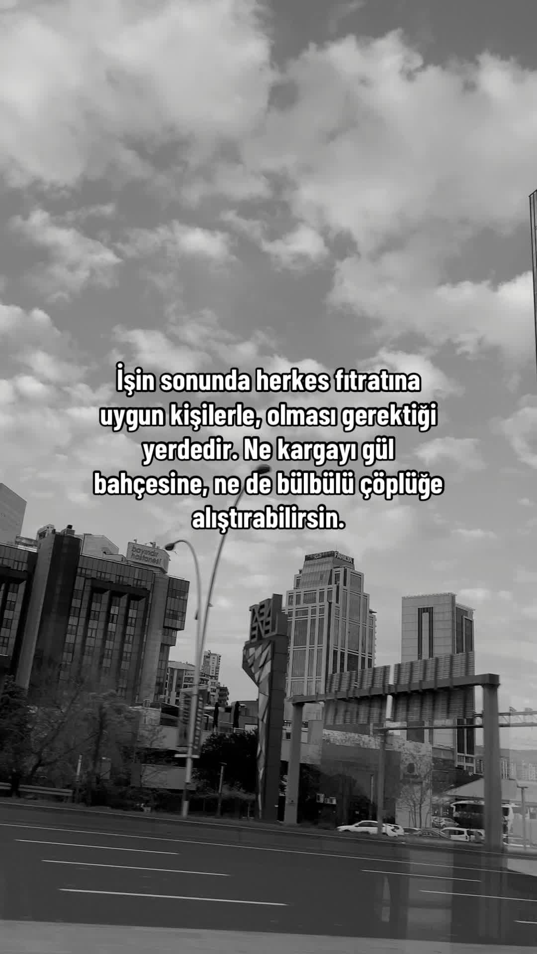 @𝓔 ᥫ᭡ 𝓐