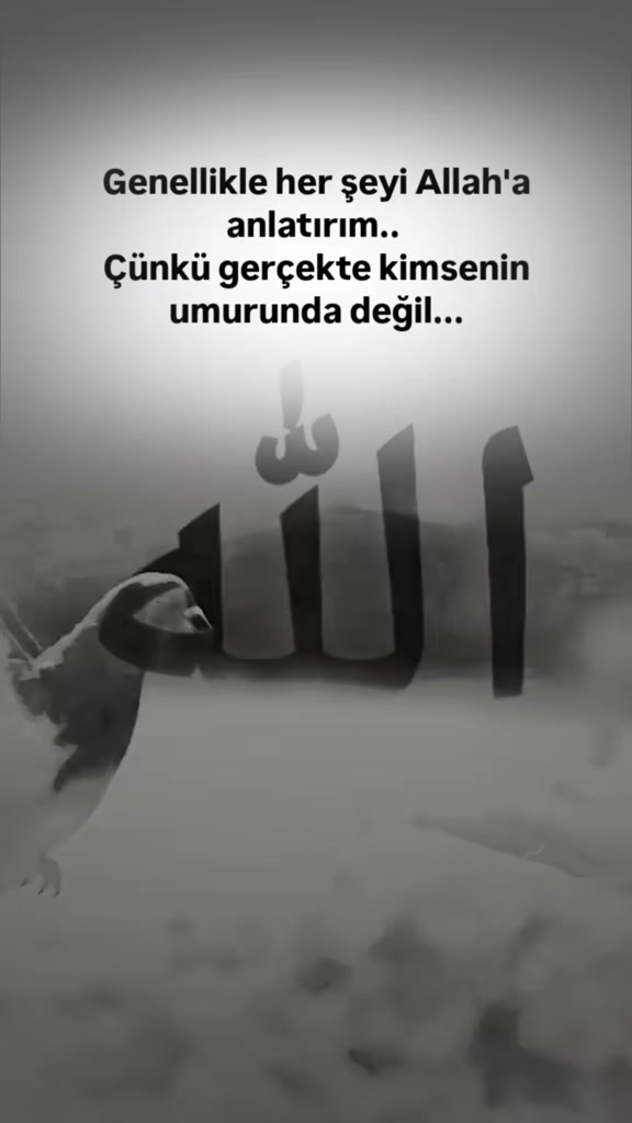 @𝐒𝐞𝐬𝐬𝐢𝐳꯭ ꯭⅟𝐘𝐚𝐳𝐚𝐫