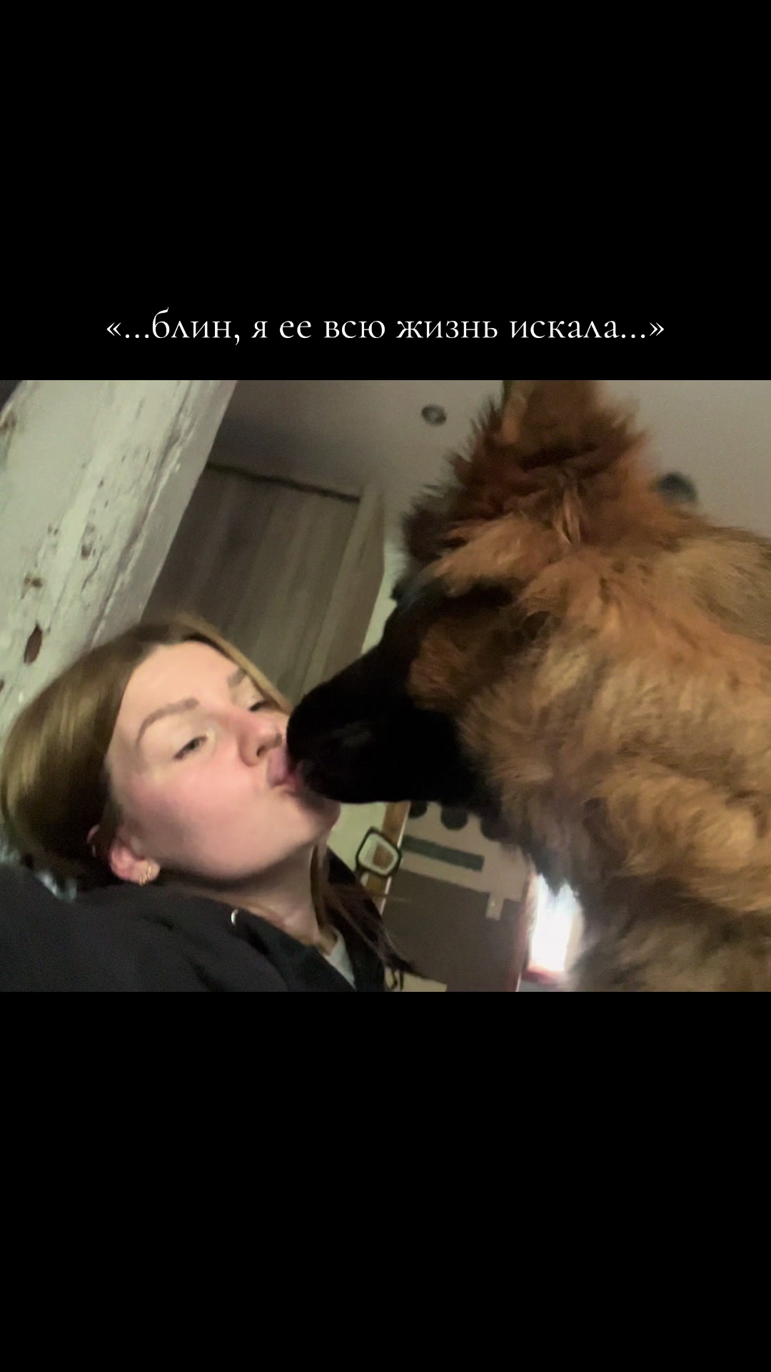 @за лапами