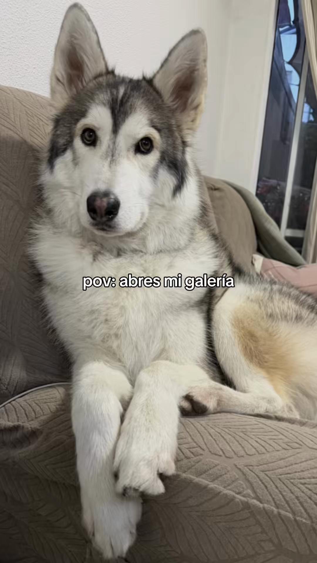 @KZ