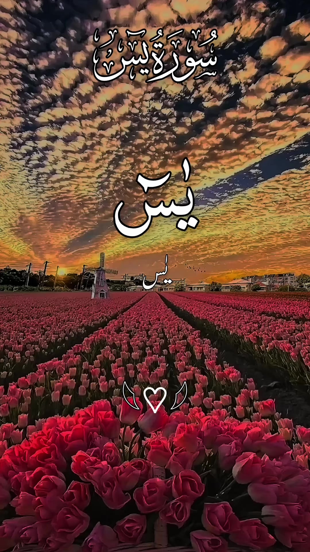 @❣️ Words of Allah ❣️