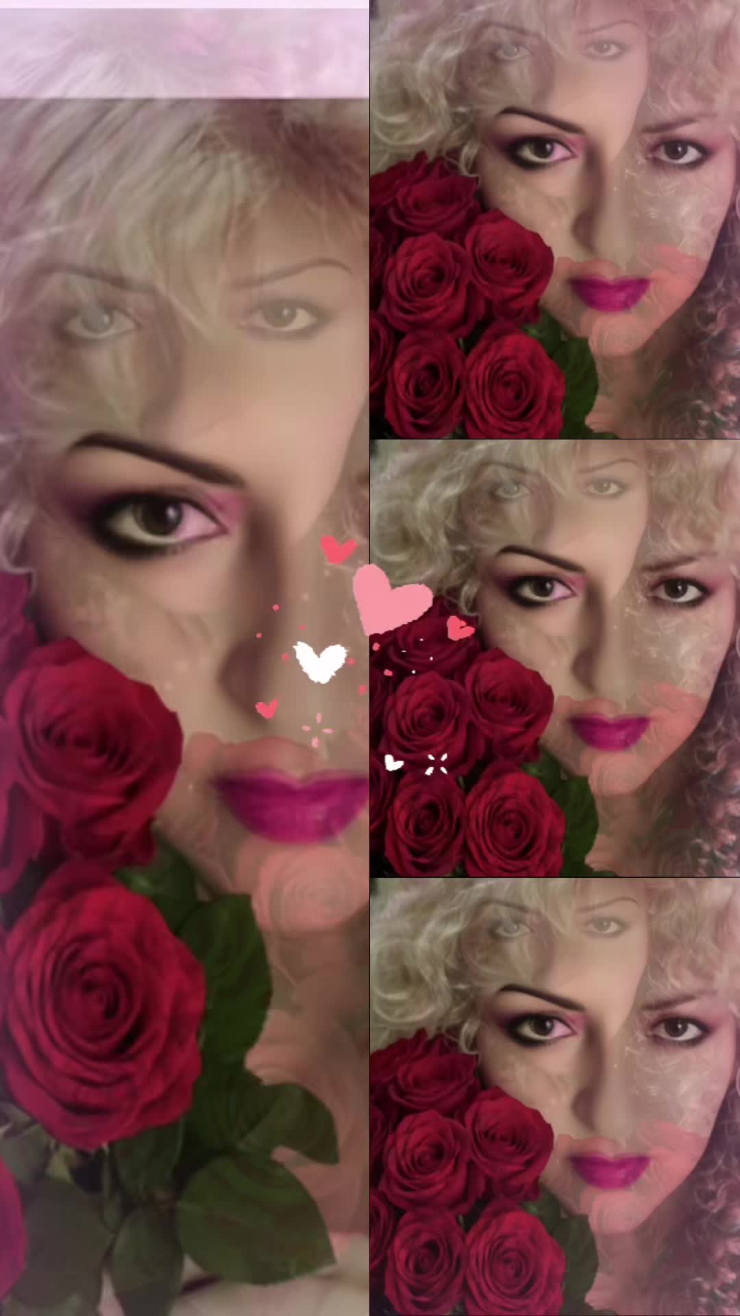 @guadalupearaiza335