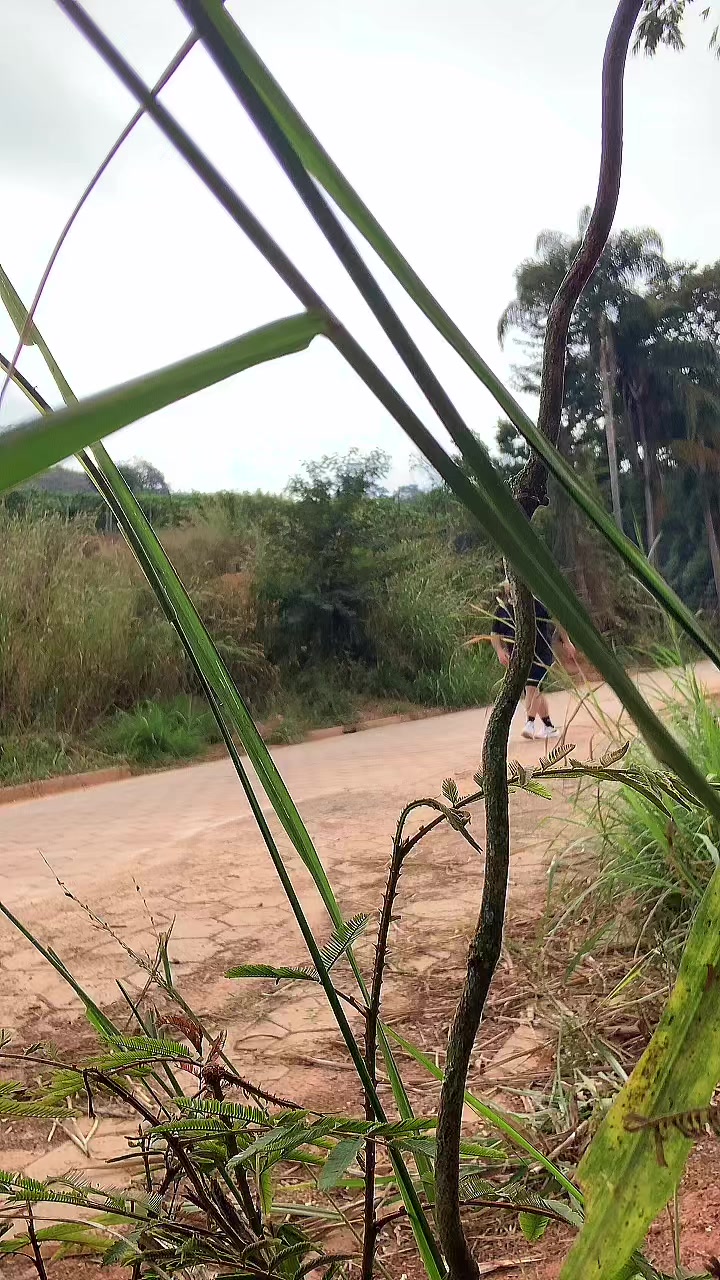 @&Eacute;der Costa