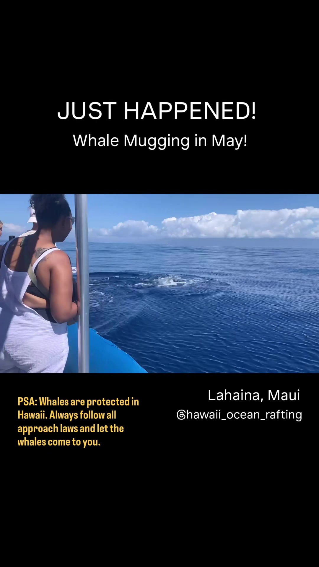 @Hawaii Ocean Rafting