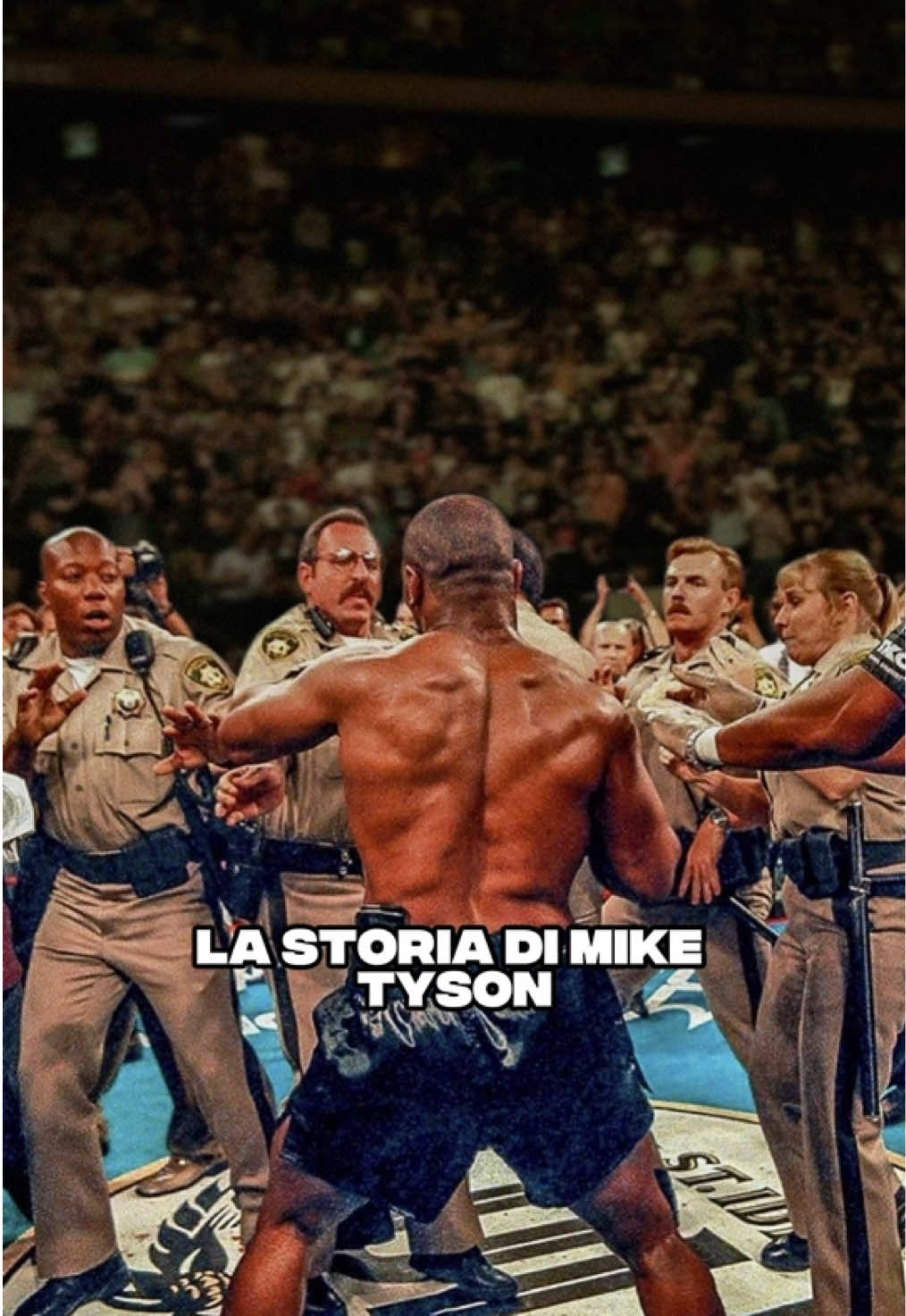 @MICHELE VENIERO
