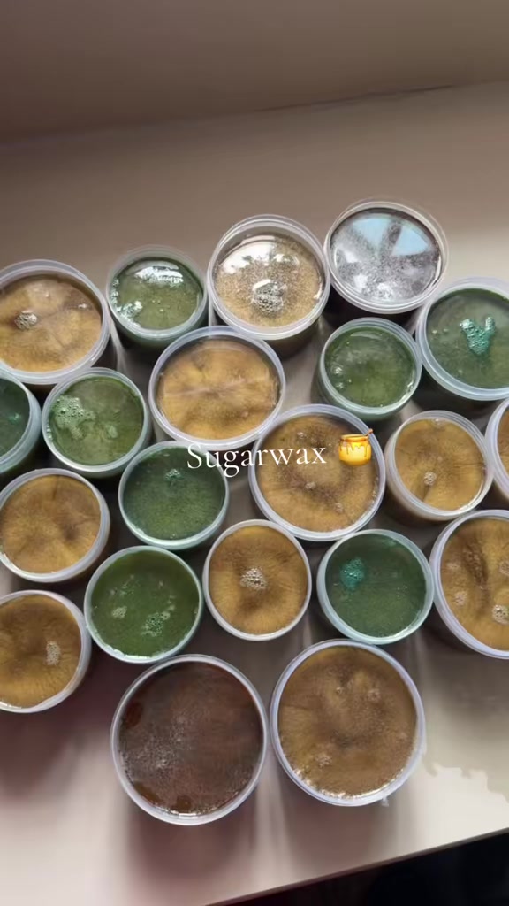 @SUGARWAX VENDOR IN LAGOS