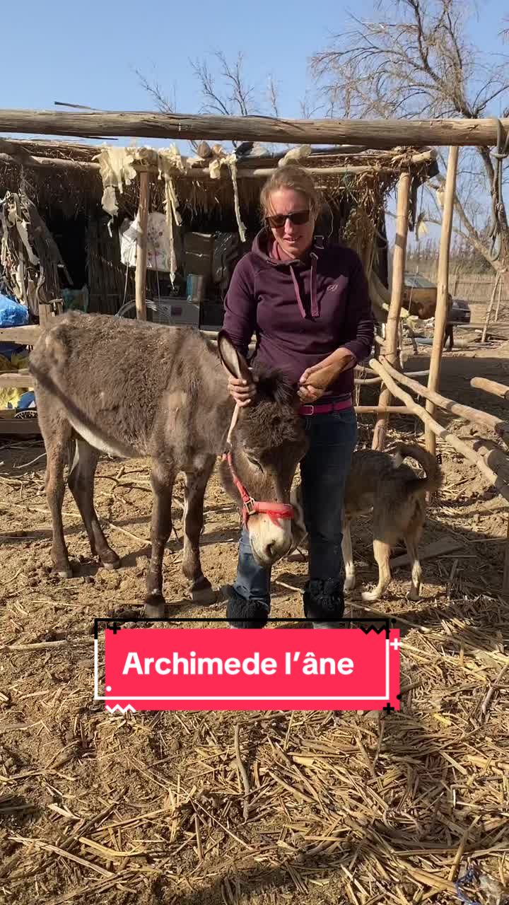 @Les&ensp;&eacute;curies&ensp;de&ensp;la&ensp;roseraie