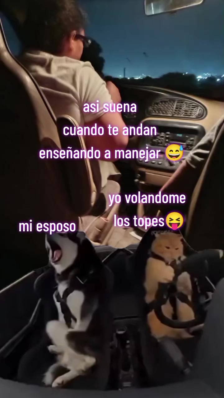 @🔮bruja🧹atnaxs🌒🌕🌘