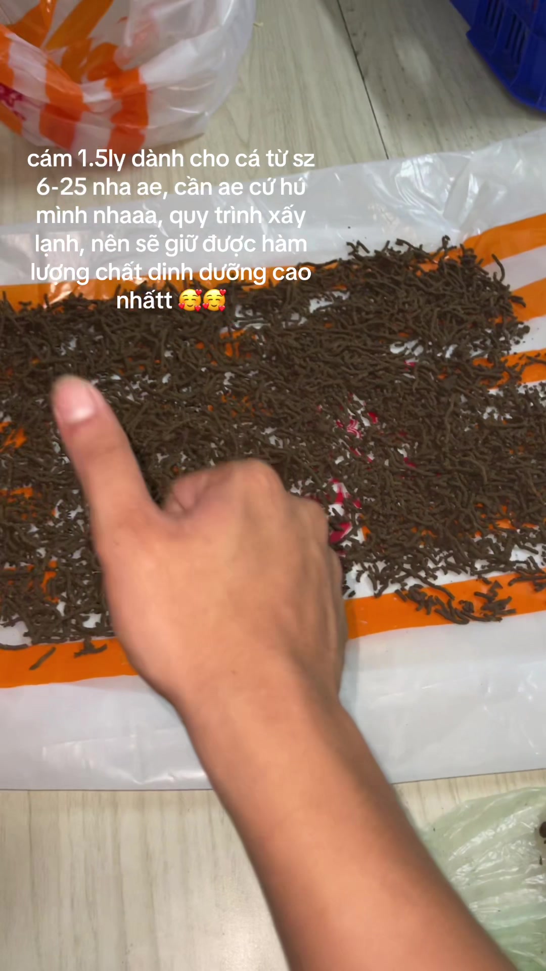 @NobiiChannaFish