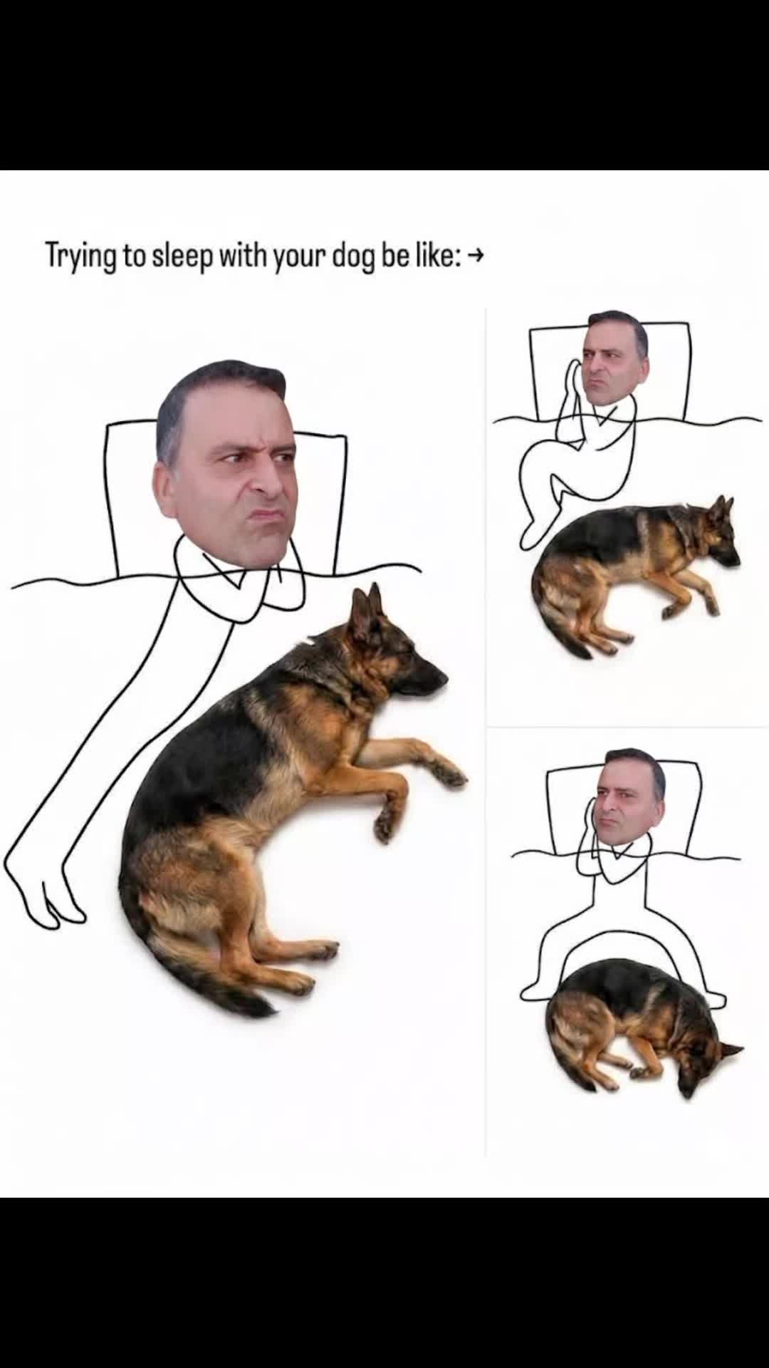 @AleEisuoiPets