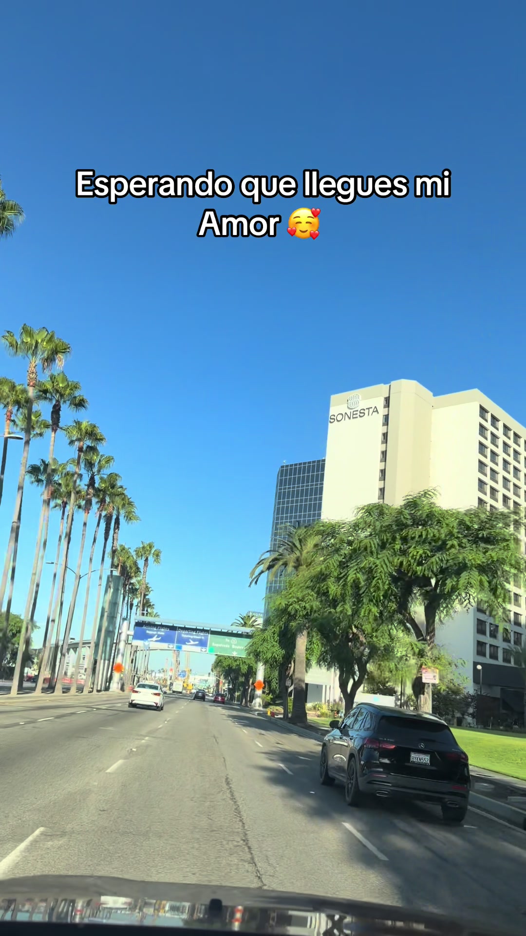 @🌻🦙🦉🦁JC7⛰️🦅🧚🎀