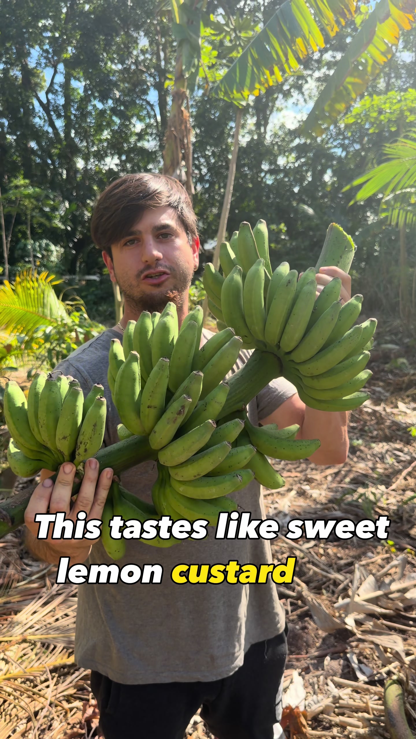 @will.harvest