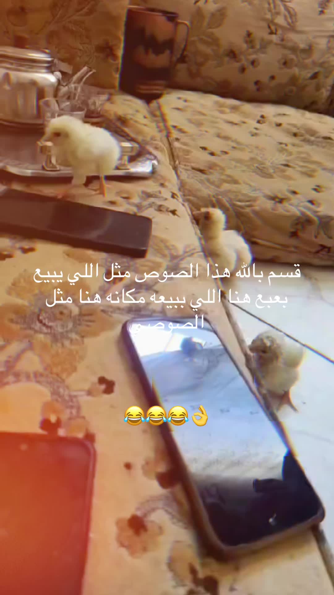 @nadia_sy01