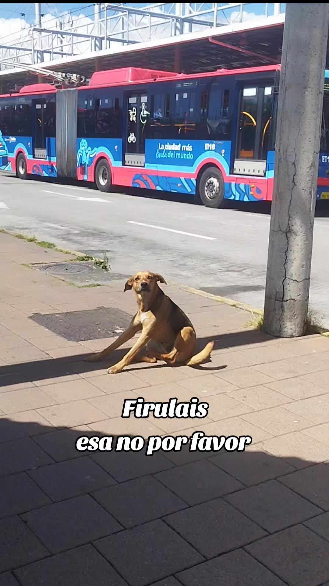 @Aprendiendoec