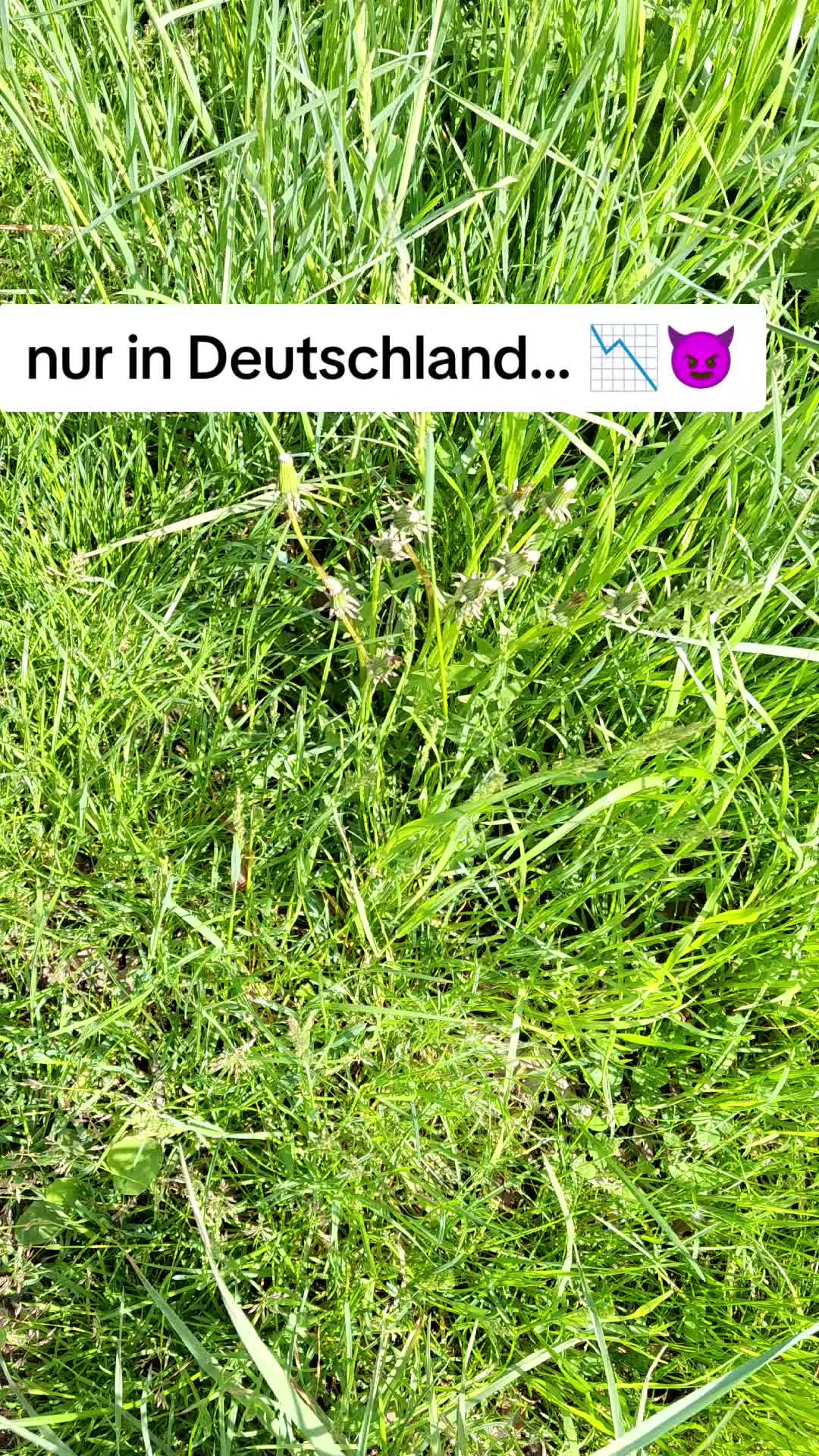 @Neu aufm Markt