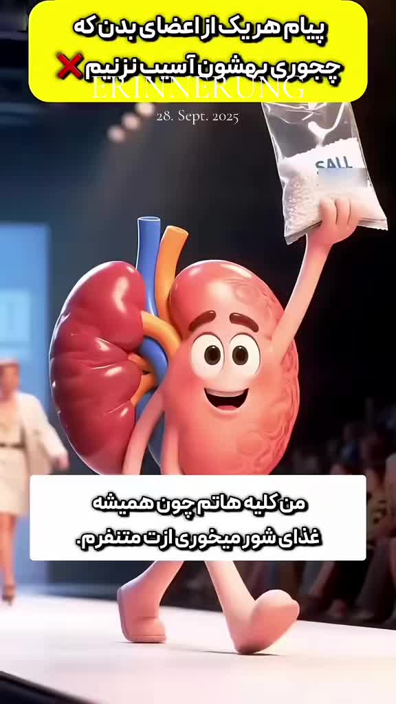 @bavar__kasit__1