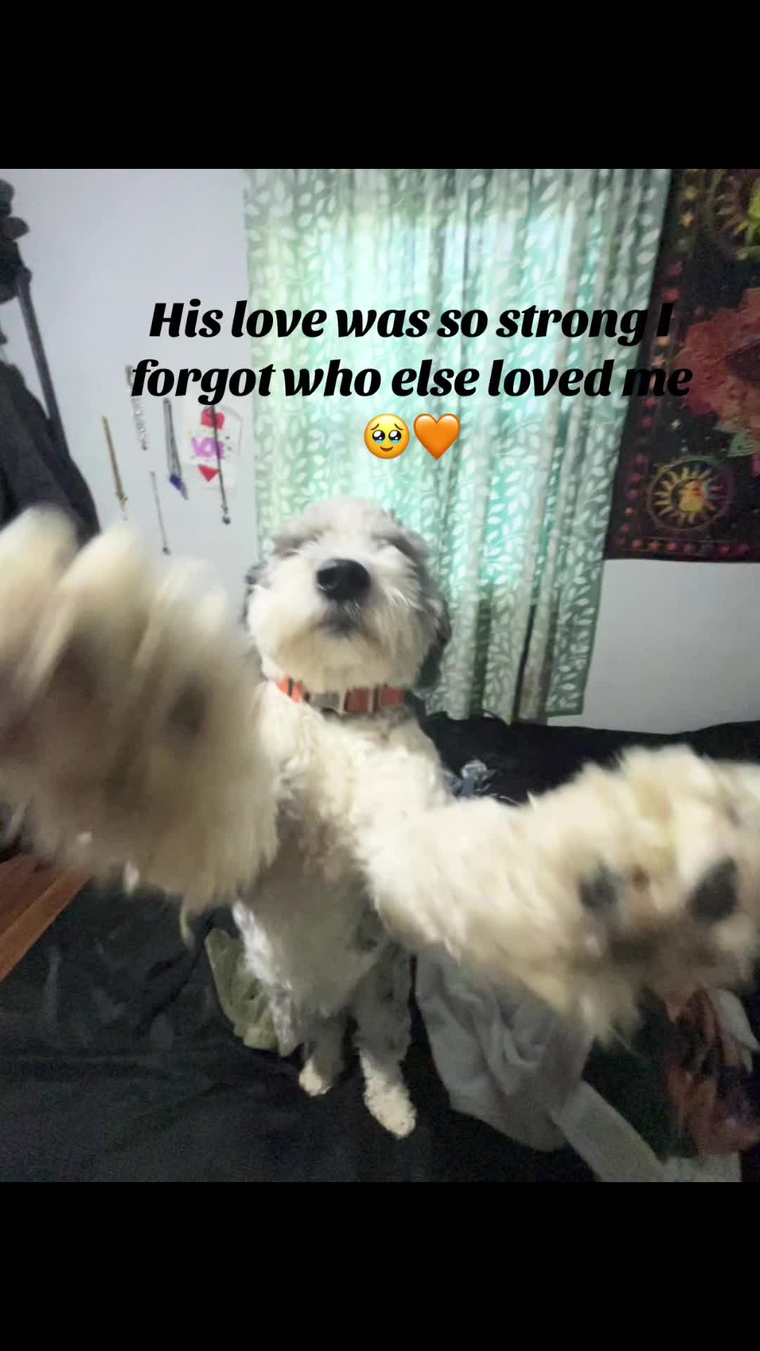 @BBPFD2122