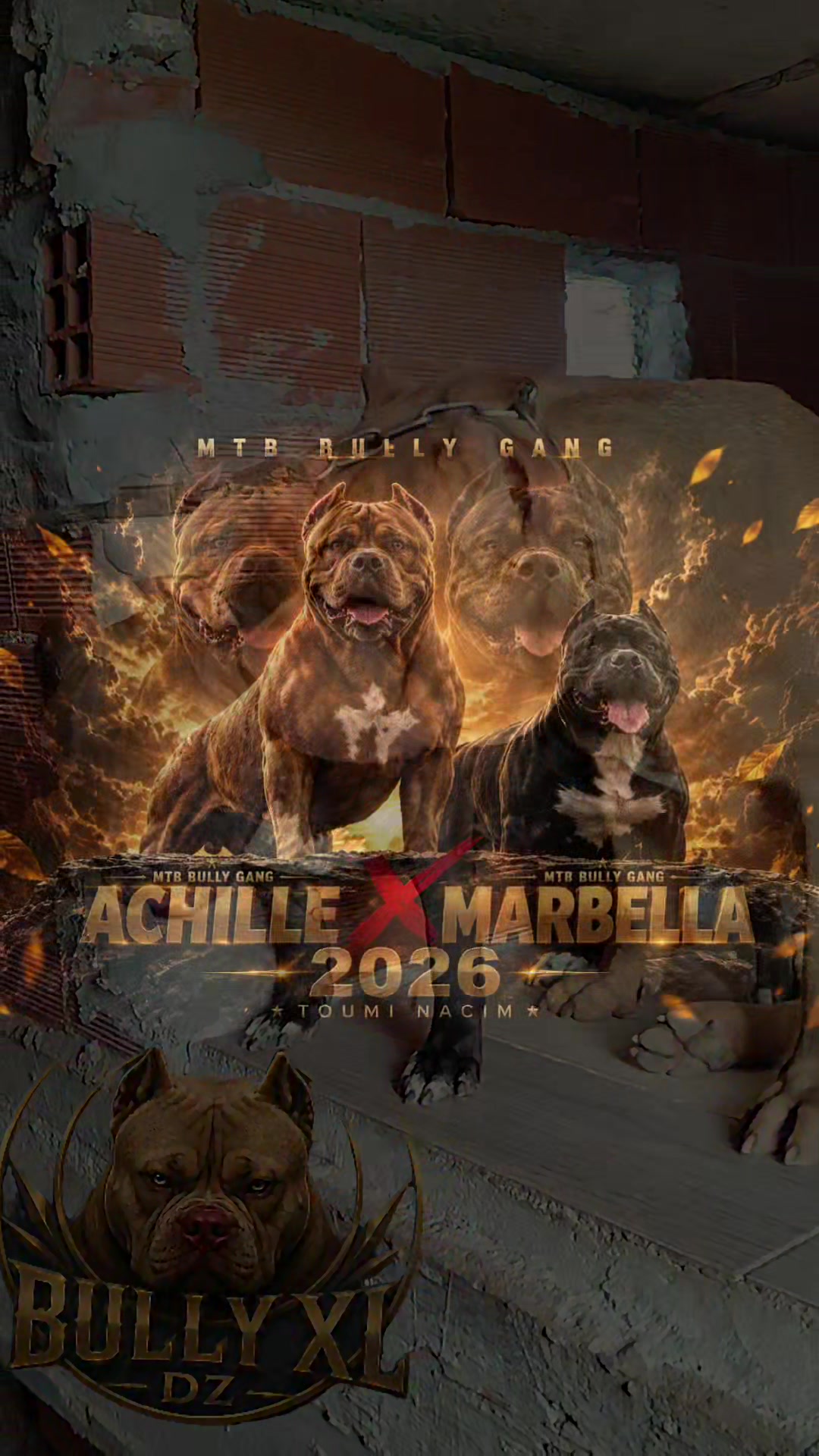 @bully xl dz 🇩🇿🦍