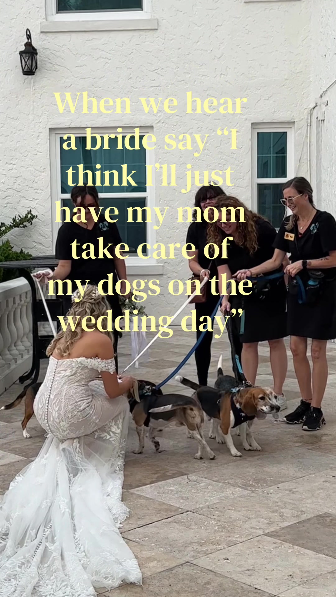 @FairyTail Pet Care