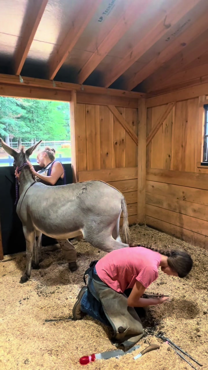 @Unshackled Hearts Ranch