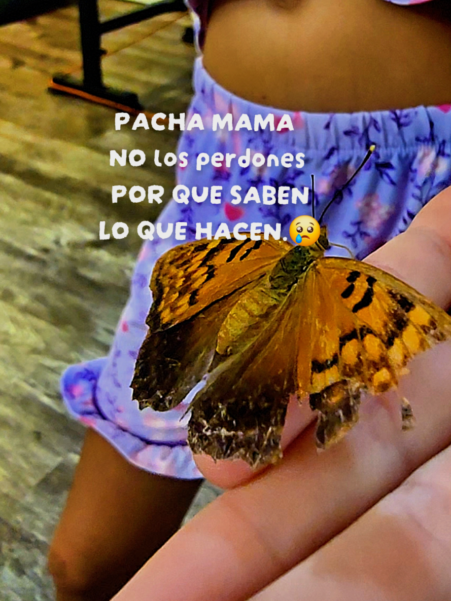 @Mai perdomo
