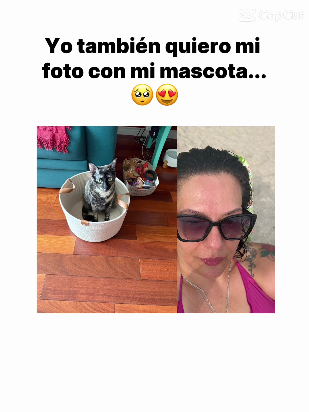 @Regiane Tosatti