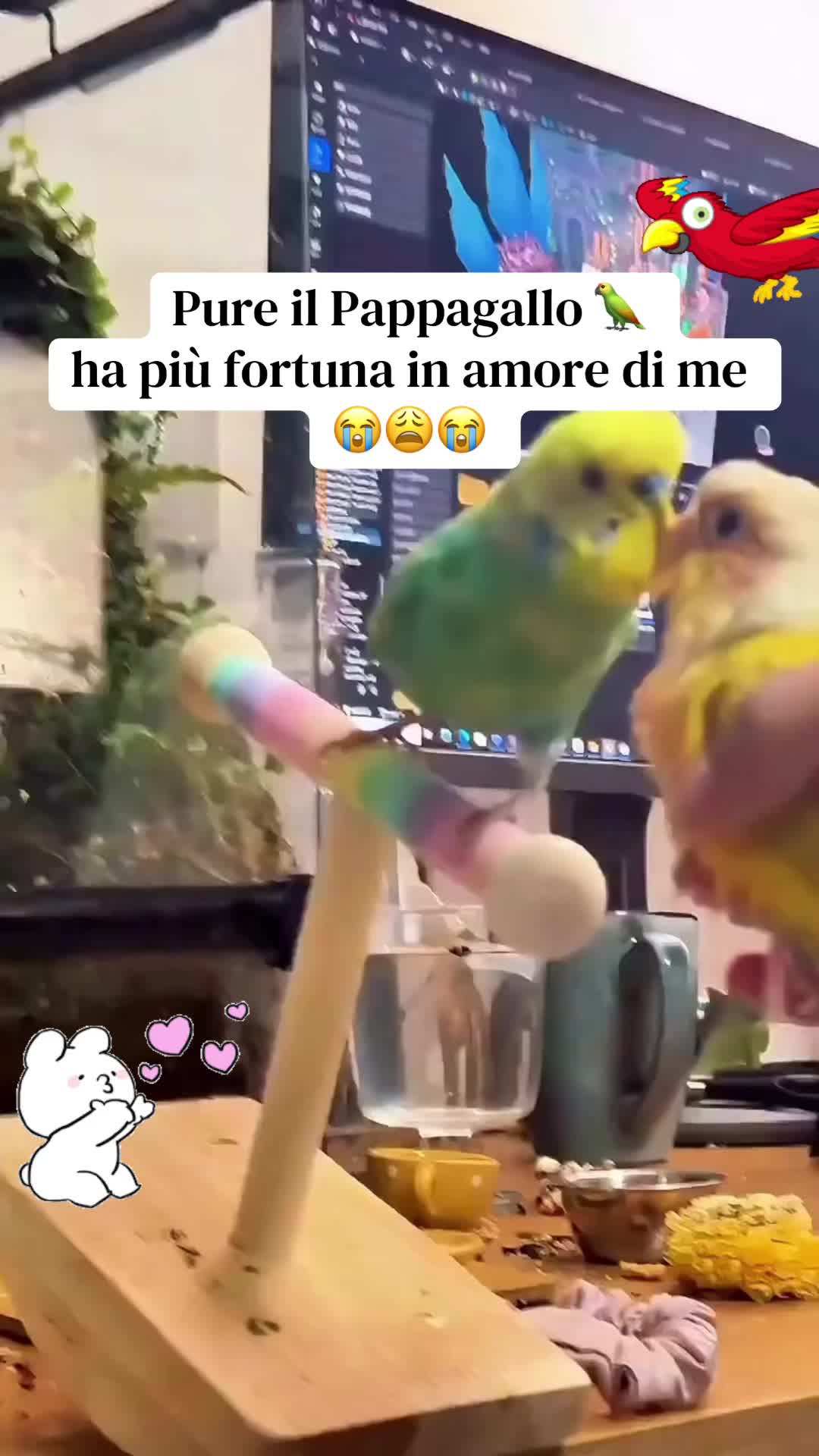 @Jordy