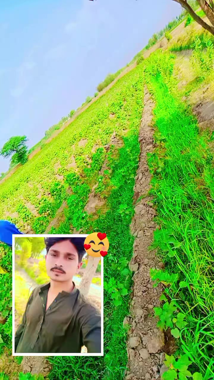 @narain Kumar Makwana