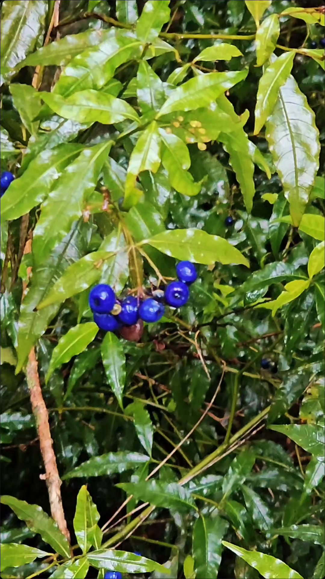 @Feito a M&atilde;o DIY Sustent&aacute;vel 🌱